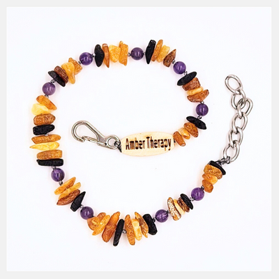Small Dog Multi Amber & Amethyst Collar-0