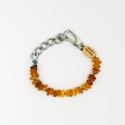Small Dog Toffee Amber Collar-0