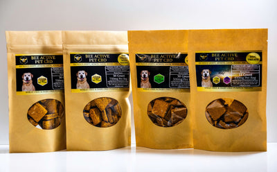 Packaged Bee Active CBD dog treats for digestive support and anxiety relief, suitable for various dog sizes.