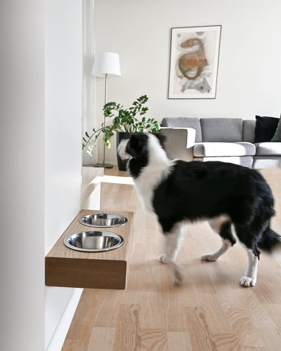 Floating Pet Feeder-0