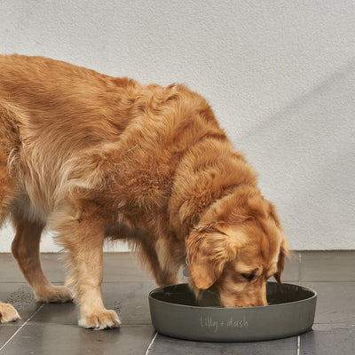 outdoor water bowls-0