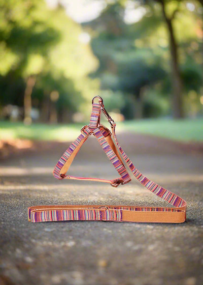 Summer Step In Harness Set in vibrant striped cotton, perfect for stylish outdoor adventures with your dog.